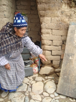  _514_https://www.helpage.org/silo/images/bolivia-landslides_246x328.jpg