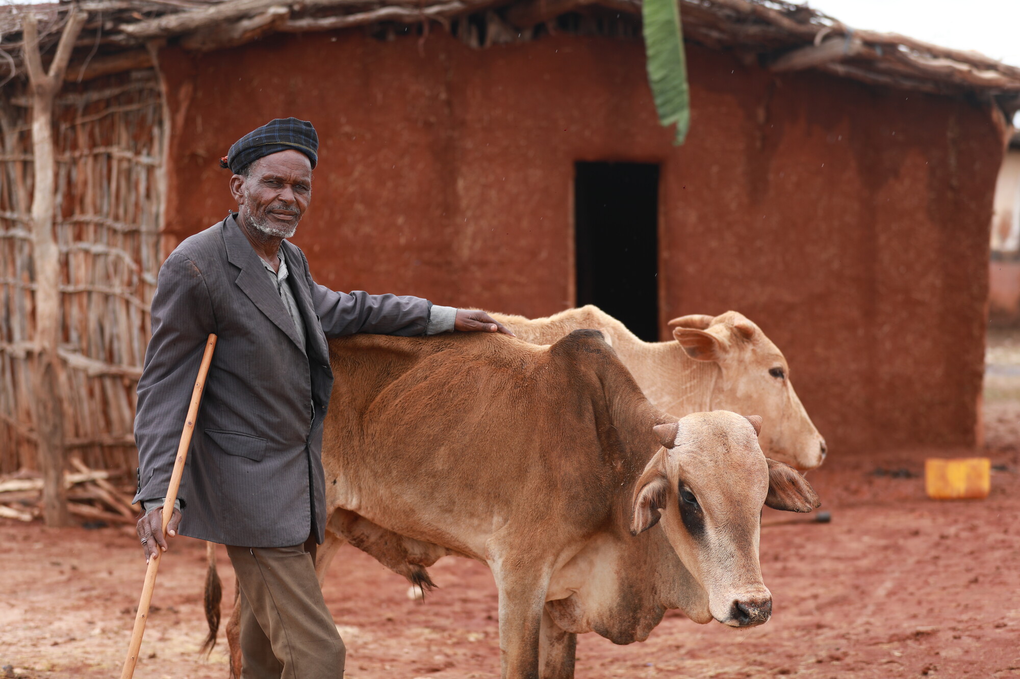  _81_https://www.helpage.org/silo/images/climate-change-ethiopia-livestock_2000x1333.jpg