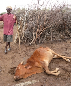  _300_https://www.helpage.org/silo/images/ethiopia-drought_246x298.jpg