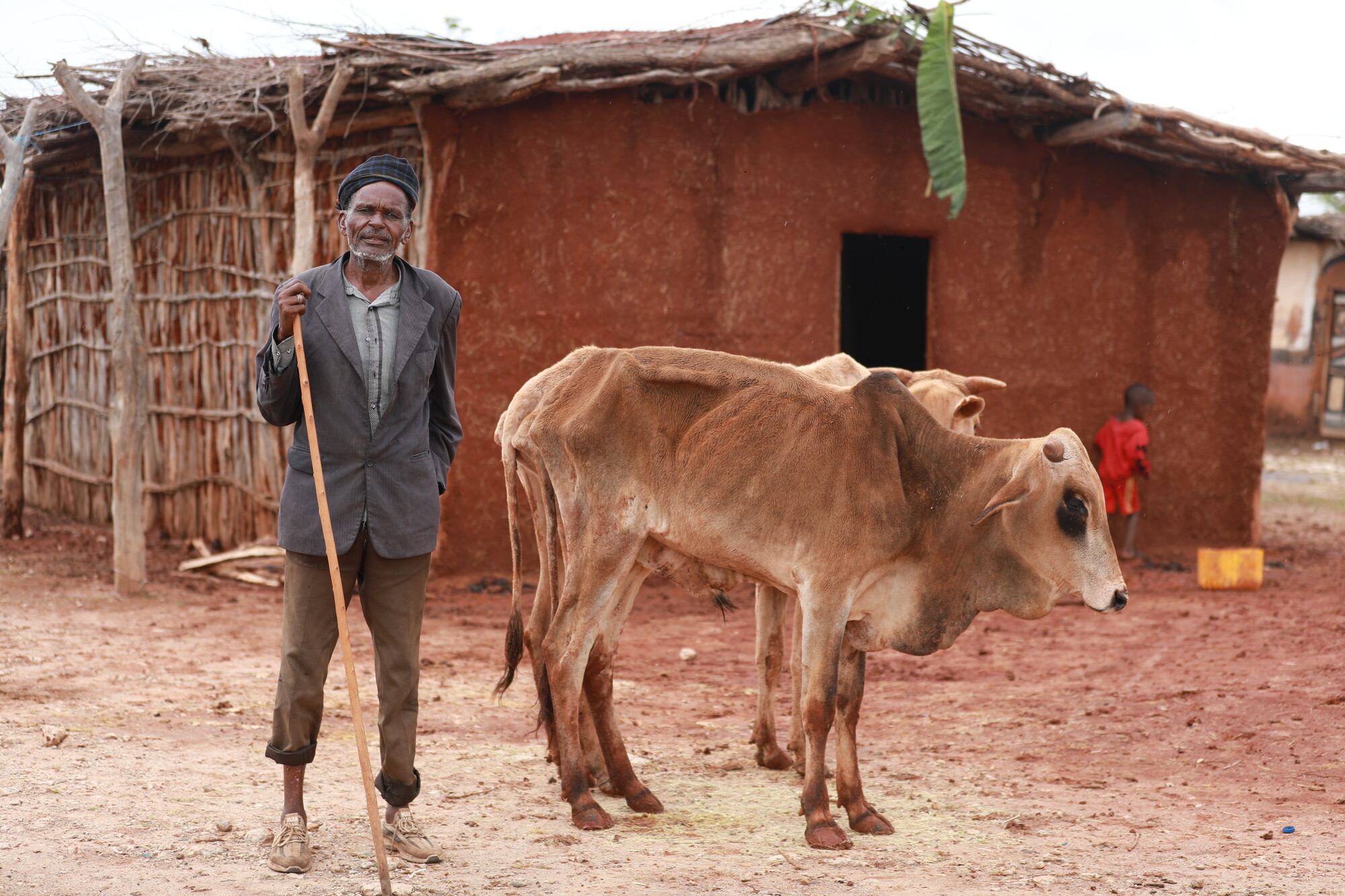  _658_https://www.helpage.org/silo/images/ethiopialinan-duba--72--credit-brook-admasuhelpage-international_2000x1333.jpg