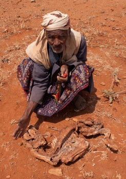  _730_https://www.helpage.org/silo/images/galgallo-guyo-ethiopia-drought_246x350.jpg
