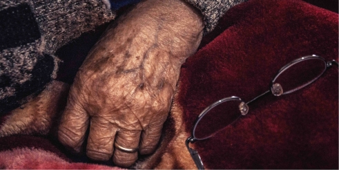 _276_https://www.helpage.org/silo/images/hands-of-warda-85yearold-refugee-from-syria-in-tyre-lebanon_491x246.jpg