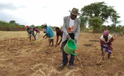  _364_https://www.helpage.org/silo/images/older-people-make-huge-contributions-as-rural-farmers_246x151.jpg