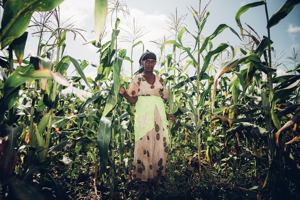  _630_https://www.helpage.org/silo/images/older-woman-in-field-in-ethiopia_1000x667.jpg