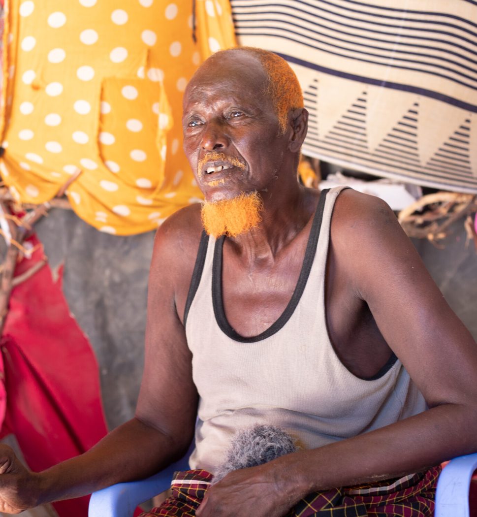 Games on inclusion of age, disability and gender in preparedness and ...