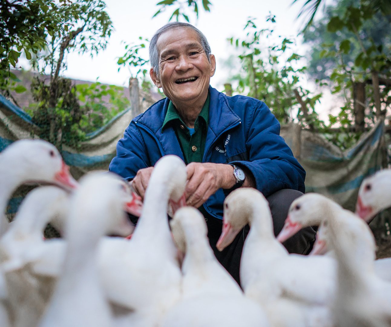 Vietnam_Man with animals