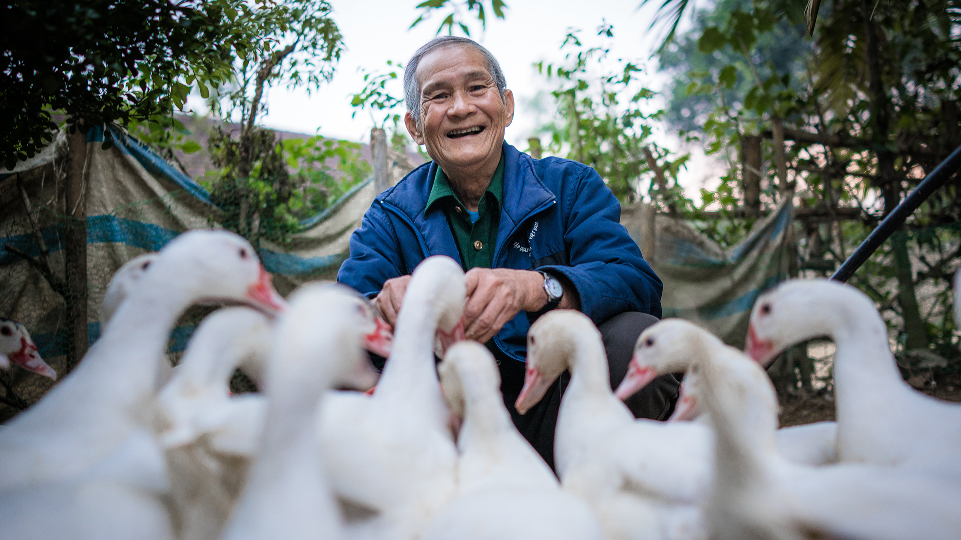 Vietnam_Man with animals