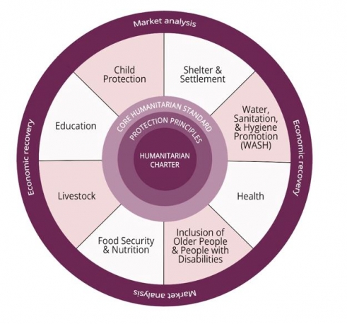  _554_https://www.helpage.org/silo/images/humanitarian-standards-partnership_491x458.jpg