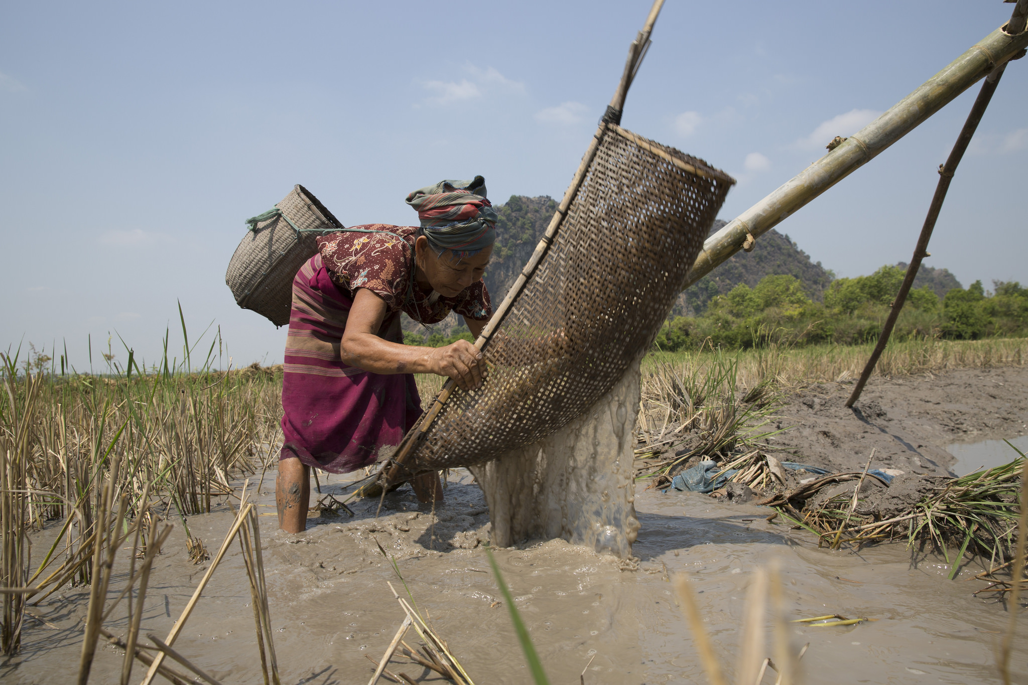  _250_https://www.helpage.org/silo/images/older-woman-working-in-myanmar-_2048x1365.jpg