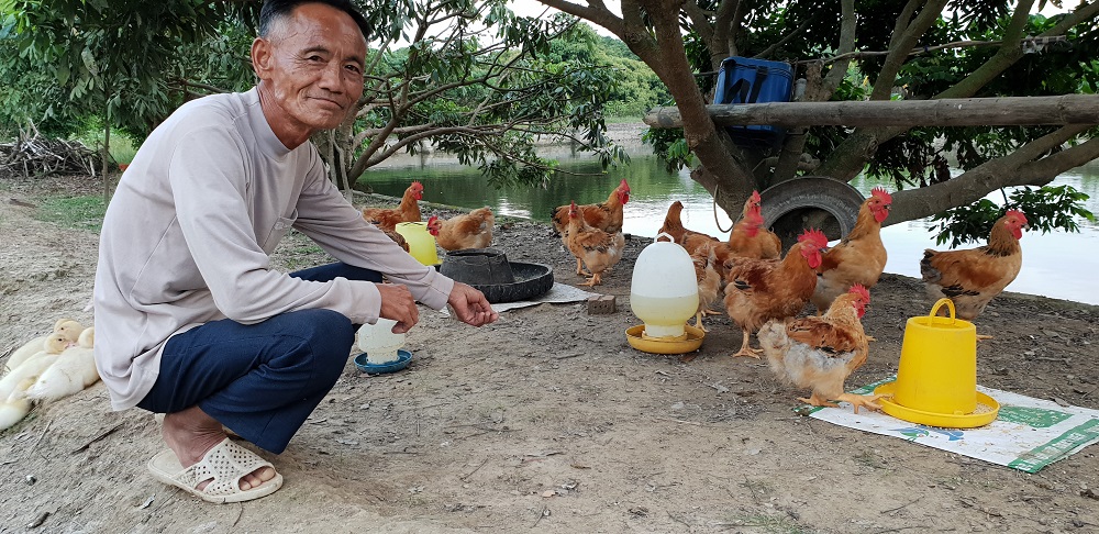  _275_https://www.helpage.org/silo/images/patricks-blog-vietnam-chickens_1000x486.jpg