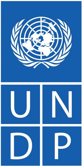  _197_https://www.helpage.org/silo/images/undp-logo_340x680.jpg