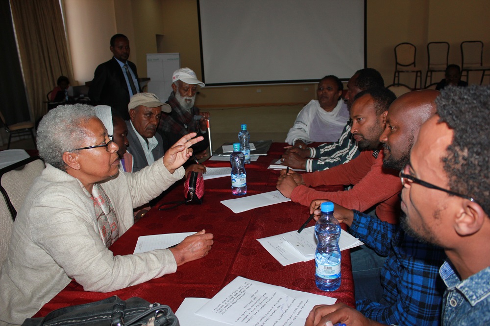  _168_https://www.helpage.org/silo/images/yezeshewal-eshete-ethiopia-meeting_1000x666.jpg