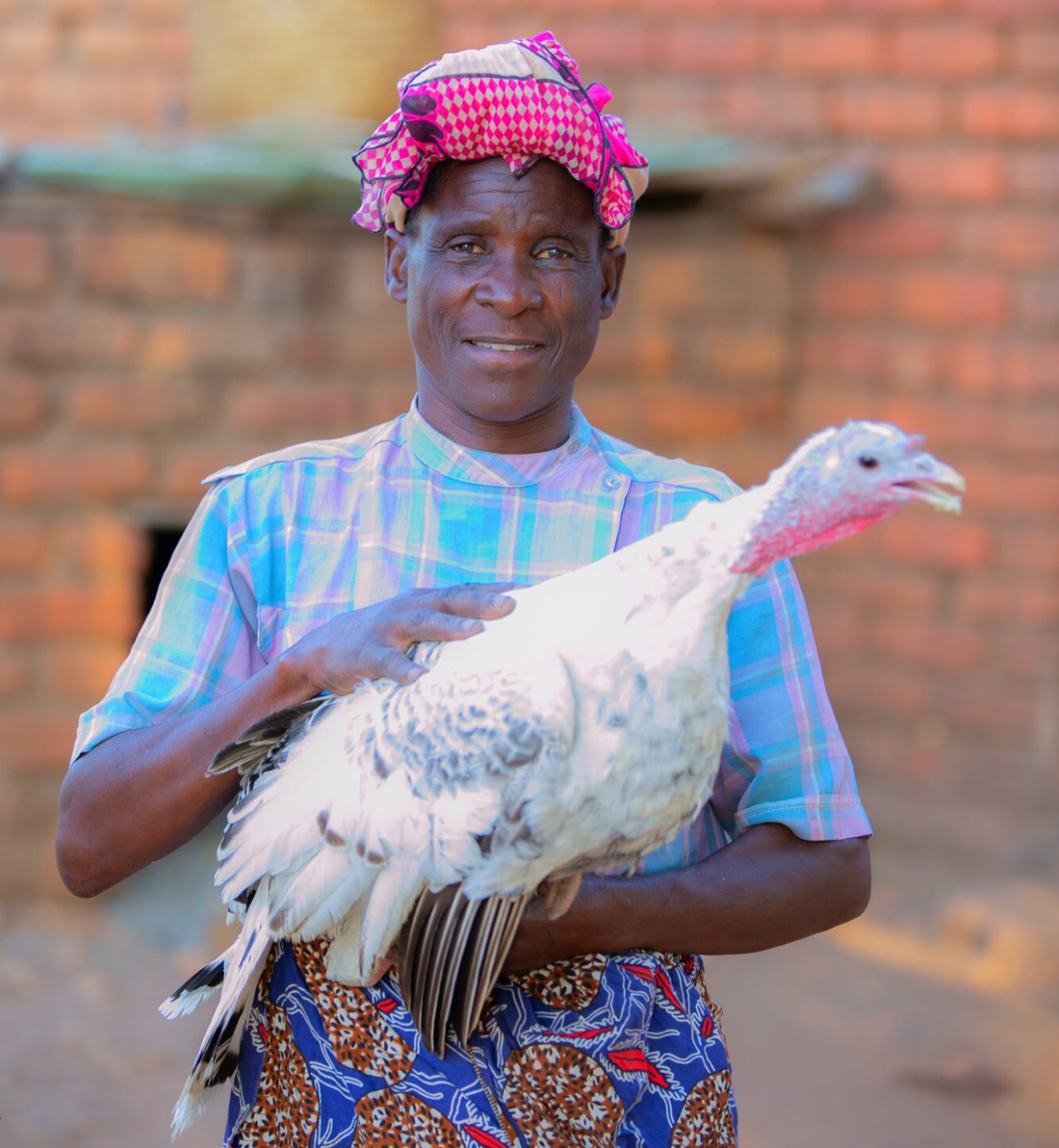 The story of Jane Sitima