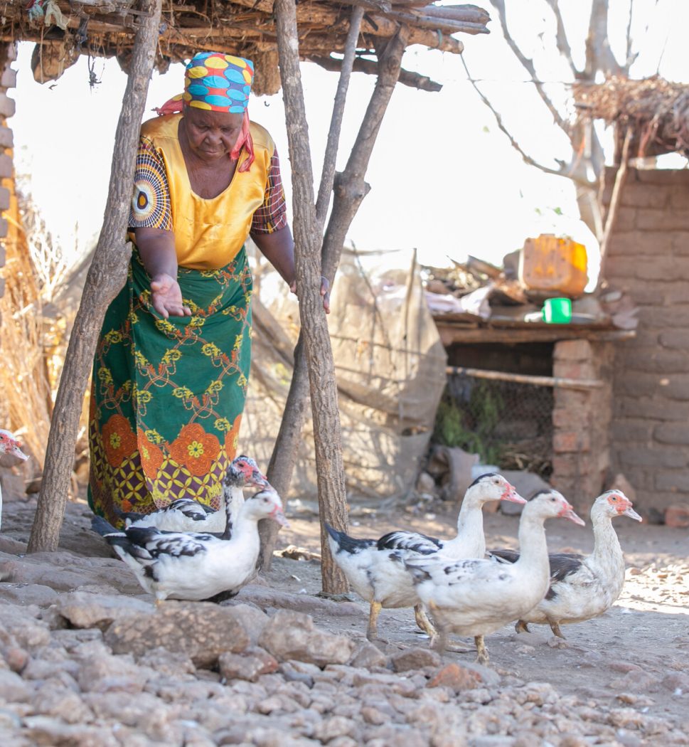 Protect the rights of older people - HelpAge International