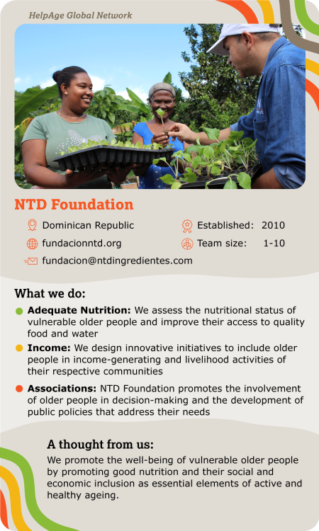 Fundación NTD (NTD Foundation)