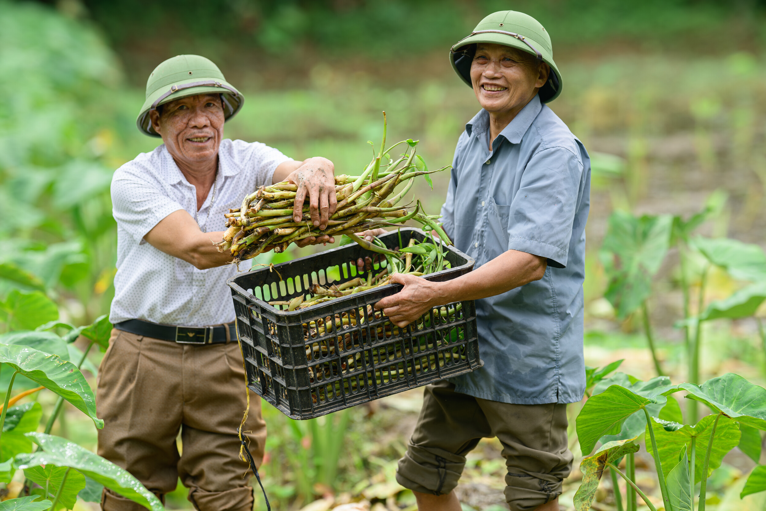 Empowering Local Voices: HelpAge’s New Era in Vietnam